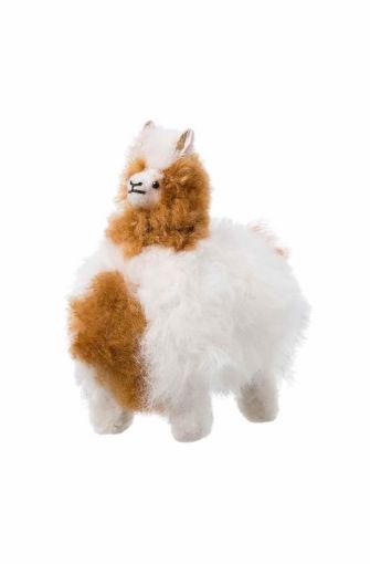 63299